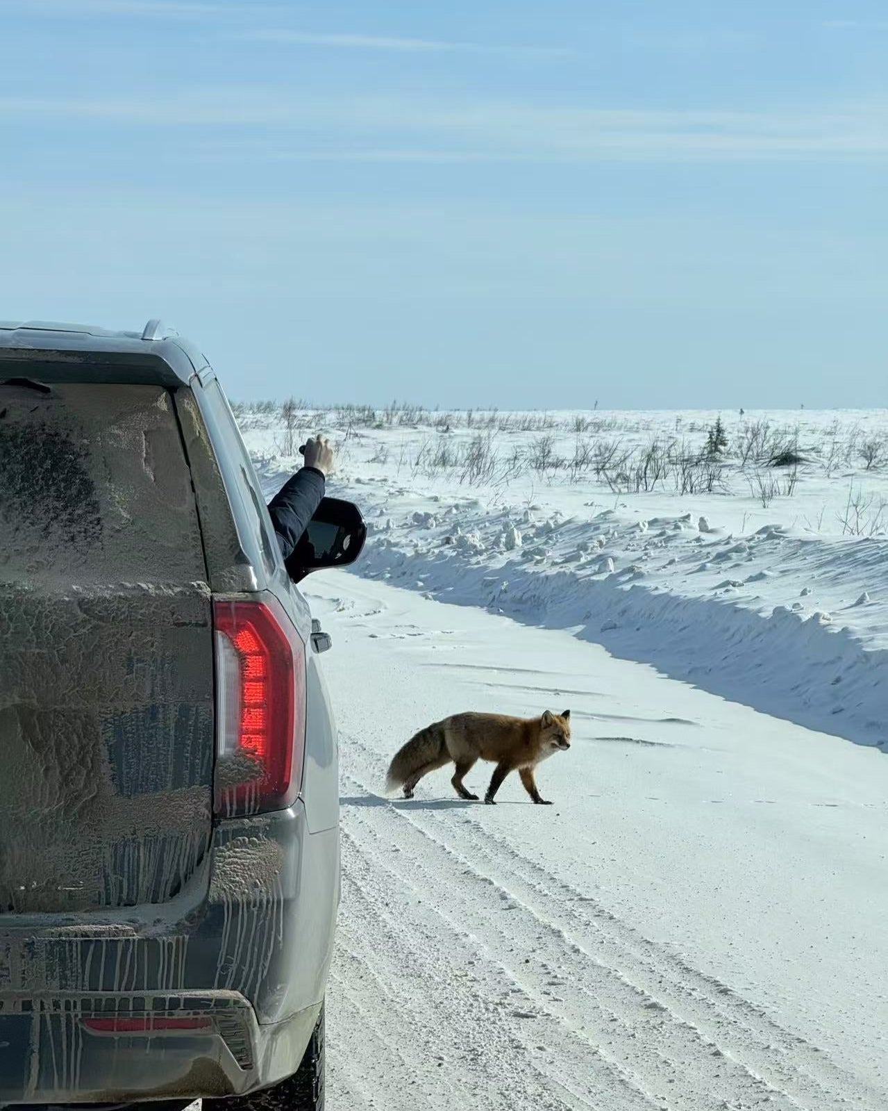 【北极之旅】9月6日-9月12日 | 极光 | 北冰洋 | 野生动物 | 原住民文化 | 轻冒险