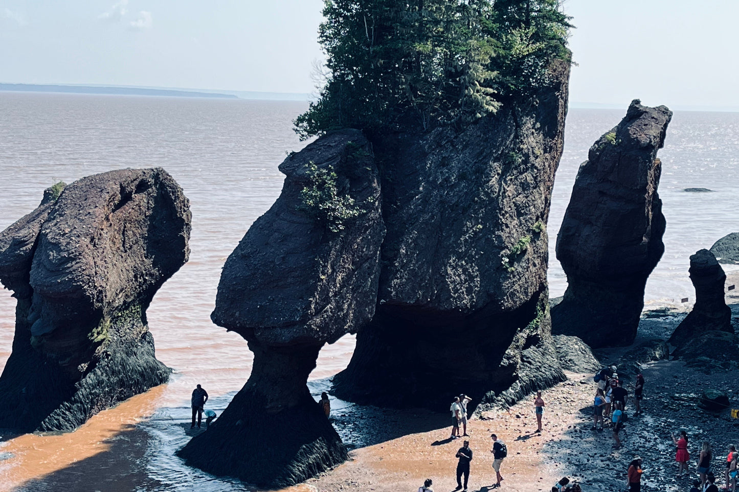 【加拿大海洋三省】8月26日-8月31日 | 大西洋美景 | 享龙虾美食 | 最美岛屿 | 一网打尽