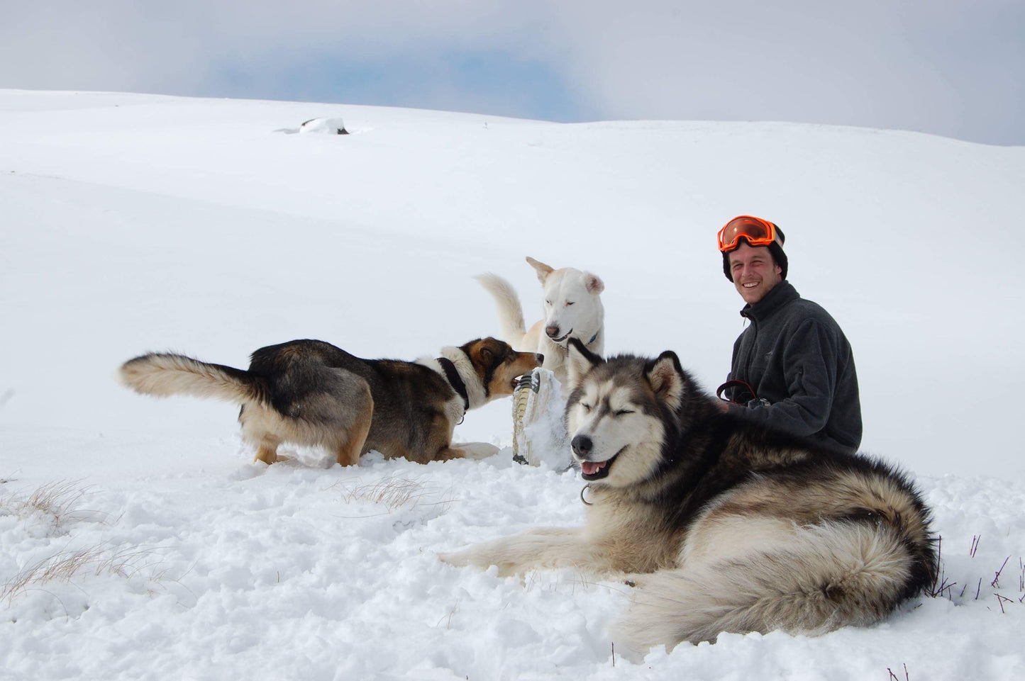 【北极之旅】9月6日-9月12日 | 极光 | 北冰洋 | 野生动物 | 原住民文化 | 轻冒险