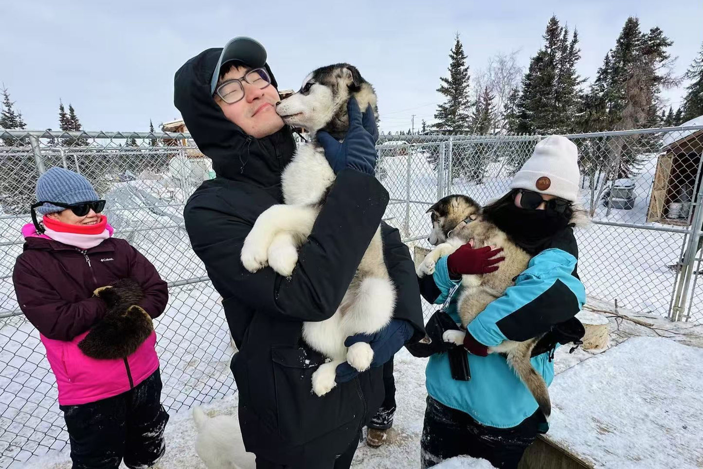 【北极之旅】9月6日-9月12日 | 极光 | 北冰洋 | 野生动物 | 原住民文化 | 轻冒险