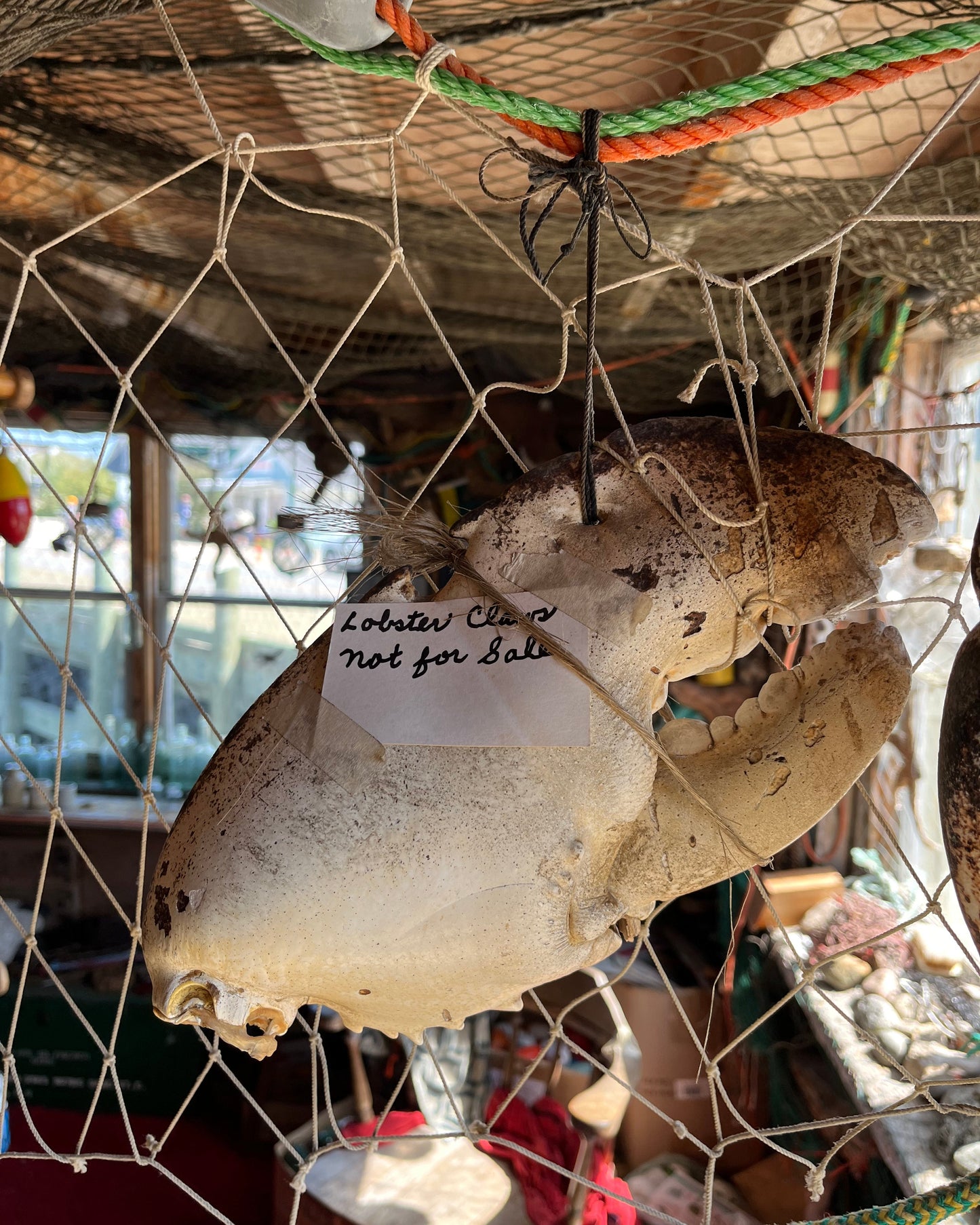 【加拿大海洋三省】8月26日-8月31日 | 大西洋美景 | 享龙虾美食 | 最美岛屿 | 一网打尽